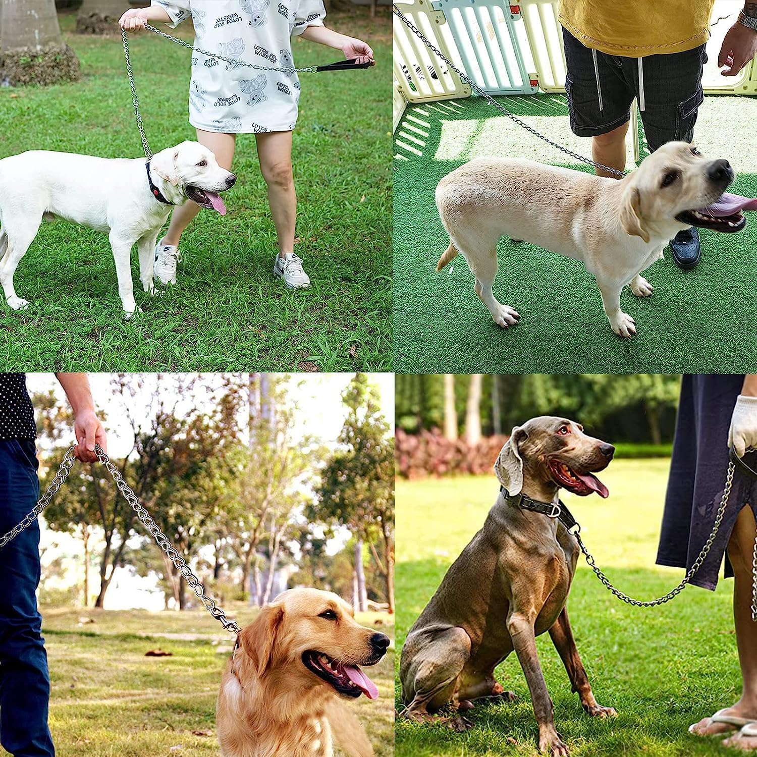 Upgrade Your Dog Walking Experience with Our Heavy Duty Metal Pet Leash Chain