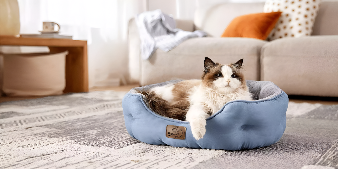 Why a Comfortable Pet Bed is Essential