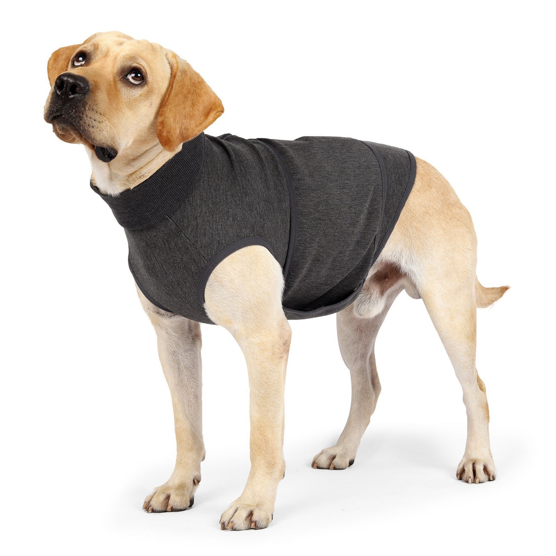 Double Layer Cotton Comfort Jacket For Pets