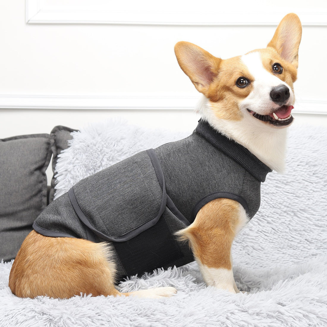 Double Layer Cotton Comfort Jacket For Pets