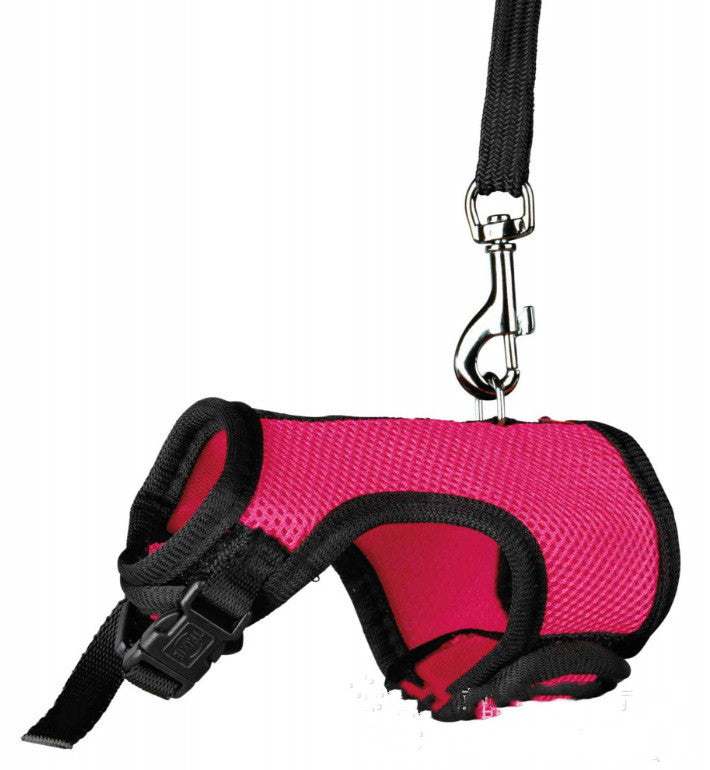 Small Pet Leash For Secure Walking Control