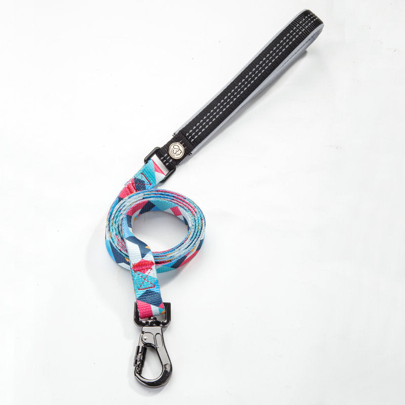 Pet Supplies Dog Leash For Secure Walking Control