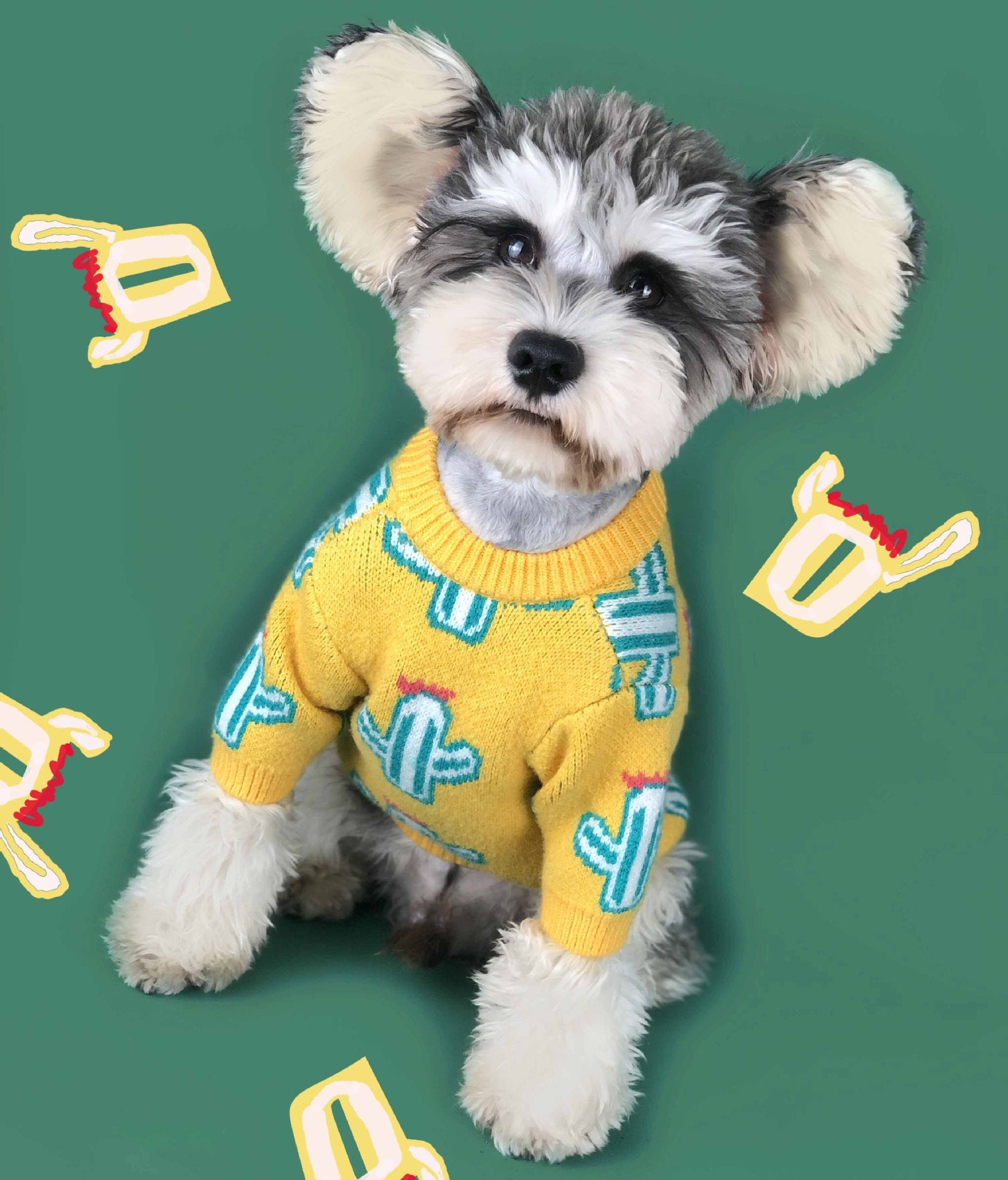 Cactus Style Knitted Sweater For Pets