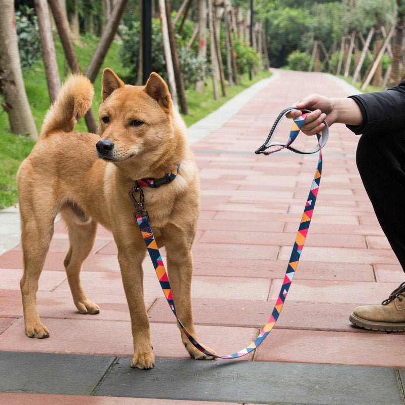 Pet Supplies Dog Leash For Secure Walking Control