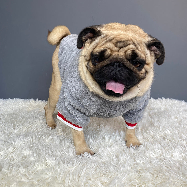 Warm Knitted Pet Sweater Comfortable Winter Wear
