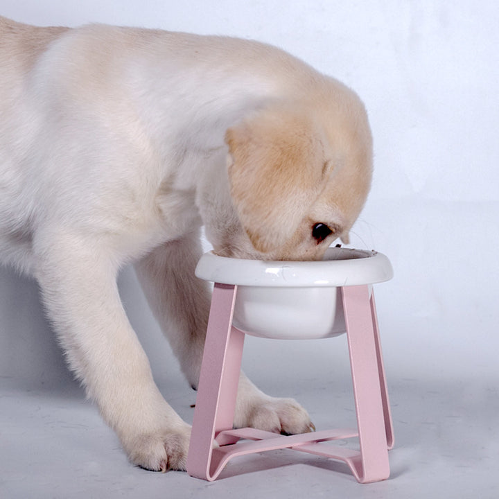 Creative Anti Slip Pet Feeding Bowl With Iron Stand 2 In 1 Set