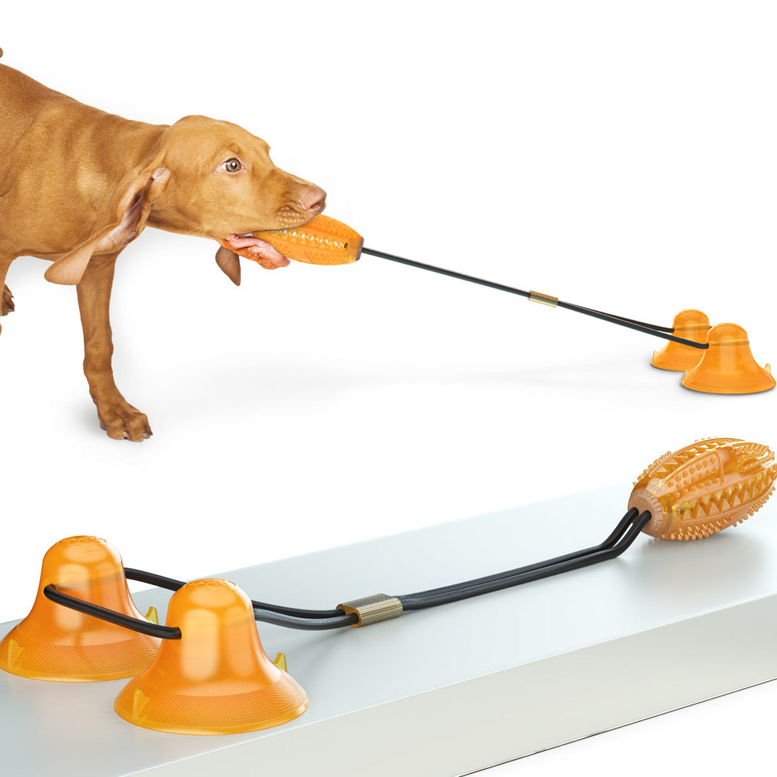 Pet Double Tug Rope Ball Suction Chew Toy