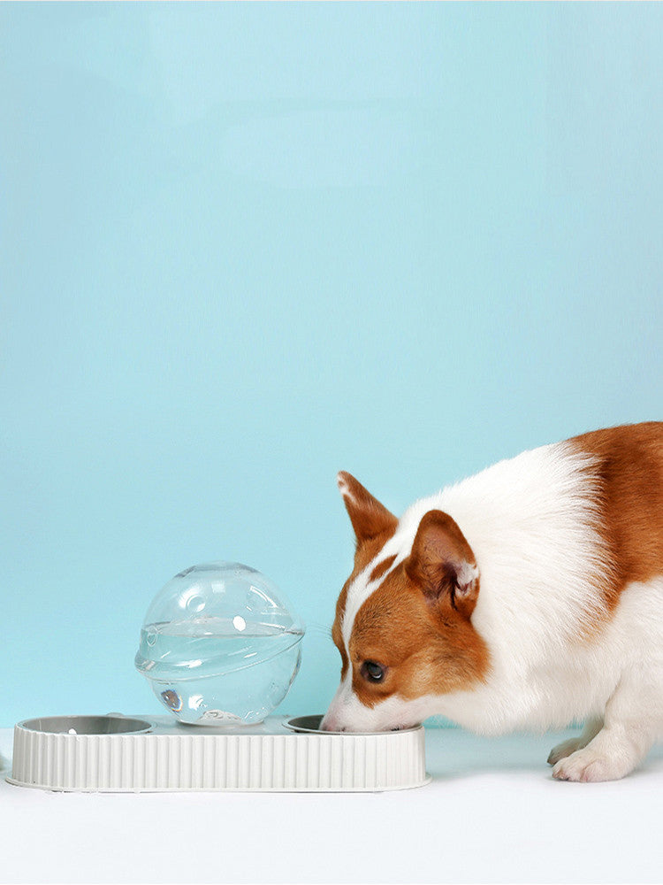 Automatic Plastic Pet Water Feeder Bowl For Pets