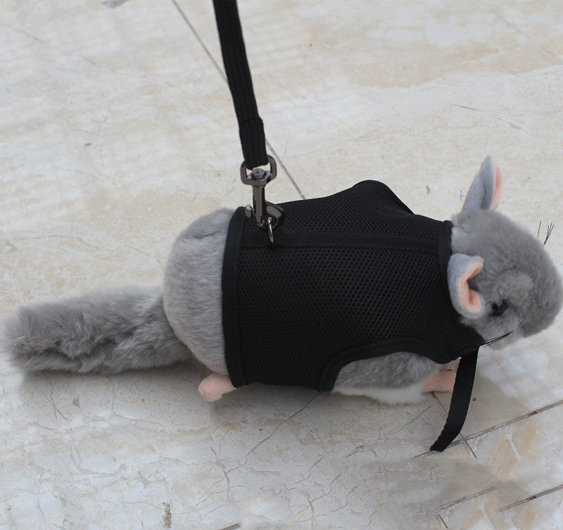 Small Pet Leash For Secure Walking Control