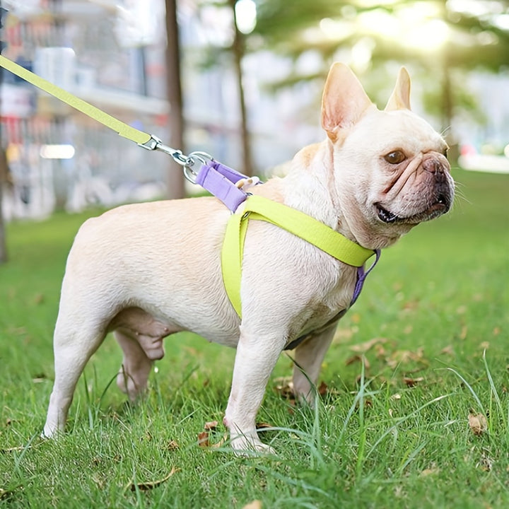 Rainbow Colorblock Pet Harness Set With Chest Leash Control Vest