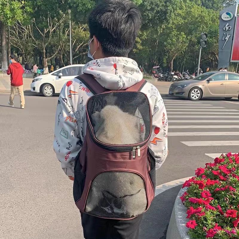 Pet Breathable Backpack Portable Travel Carrier Bag