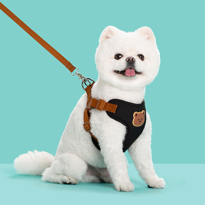 Outdoor Pet Leash Strap For Secure Walking Control