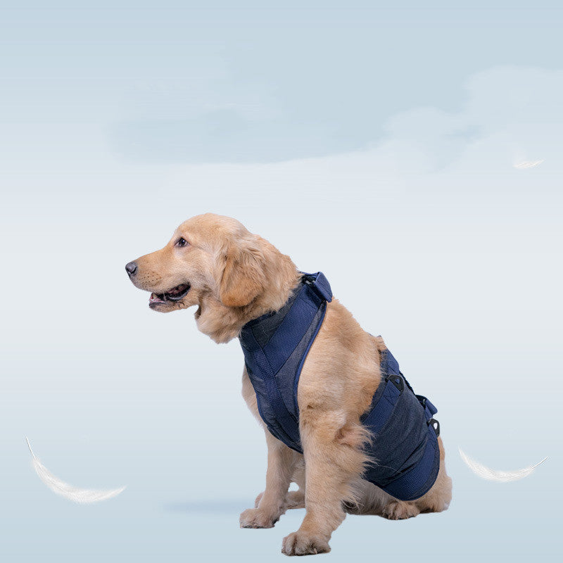 Pet Leash For Secure Walking Control