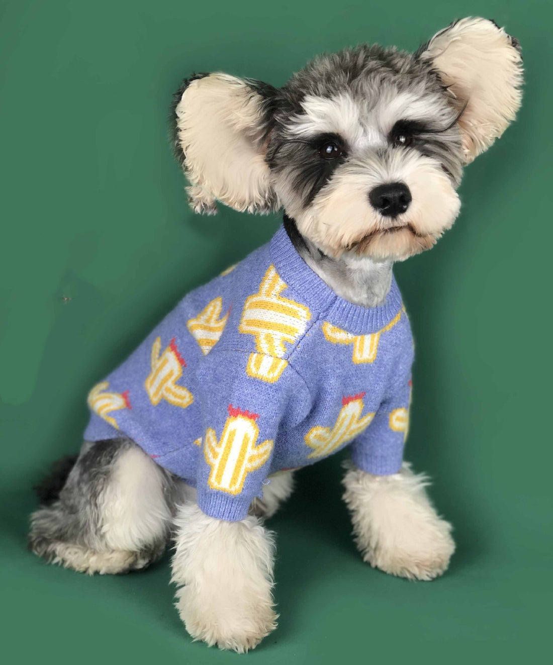 Cactus Style Knitted Sweater For Pets