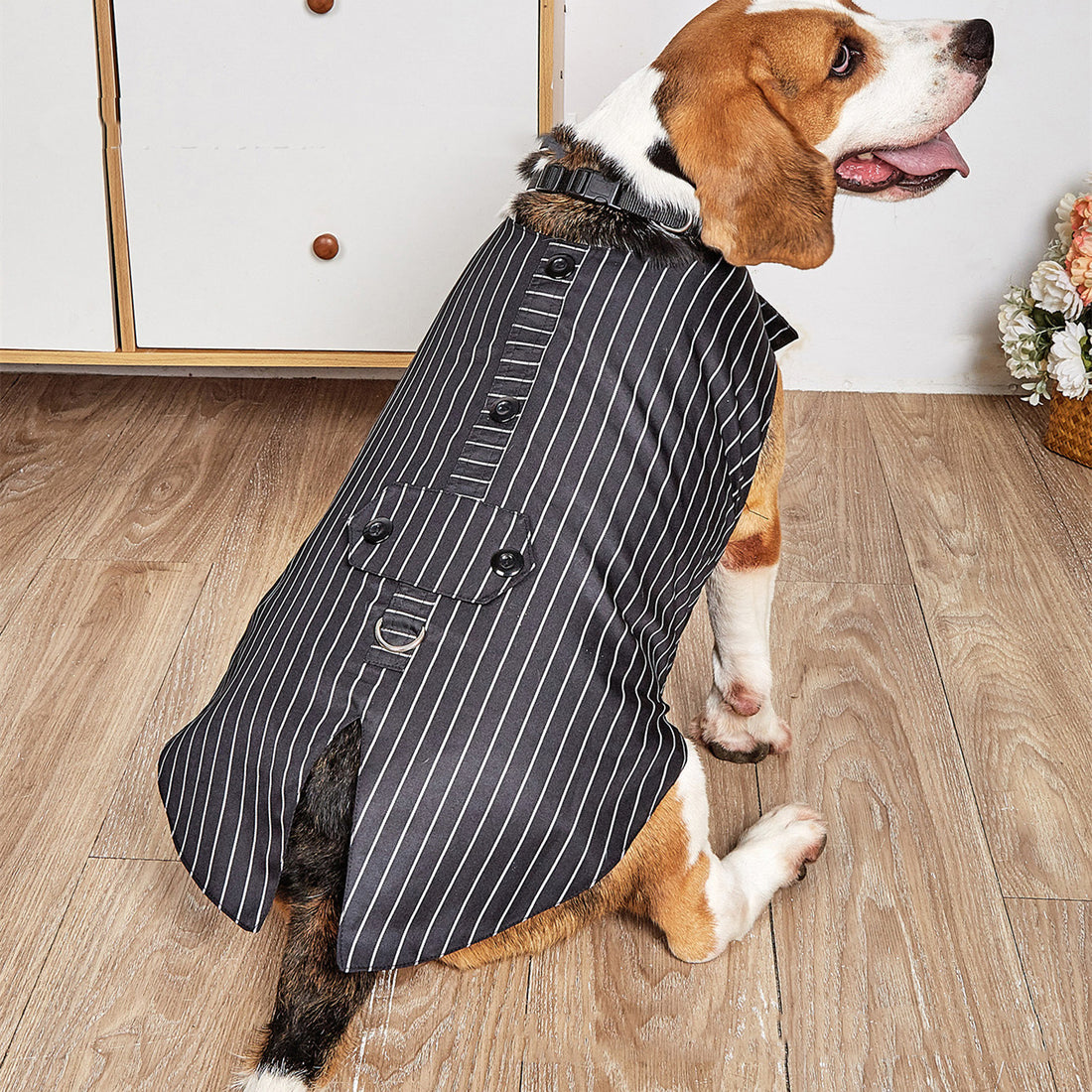 Pet Swallowtail Wedding Suit Jacket Outfit