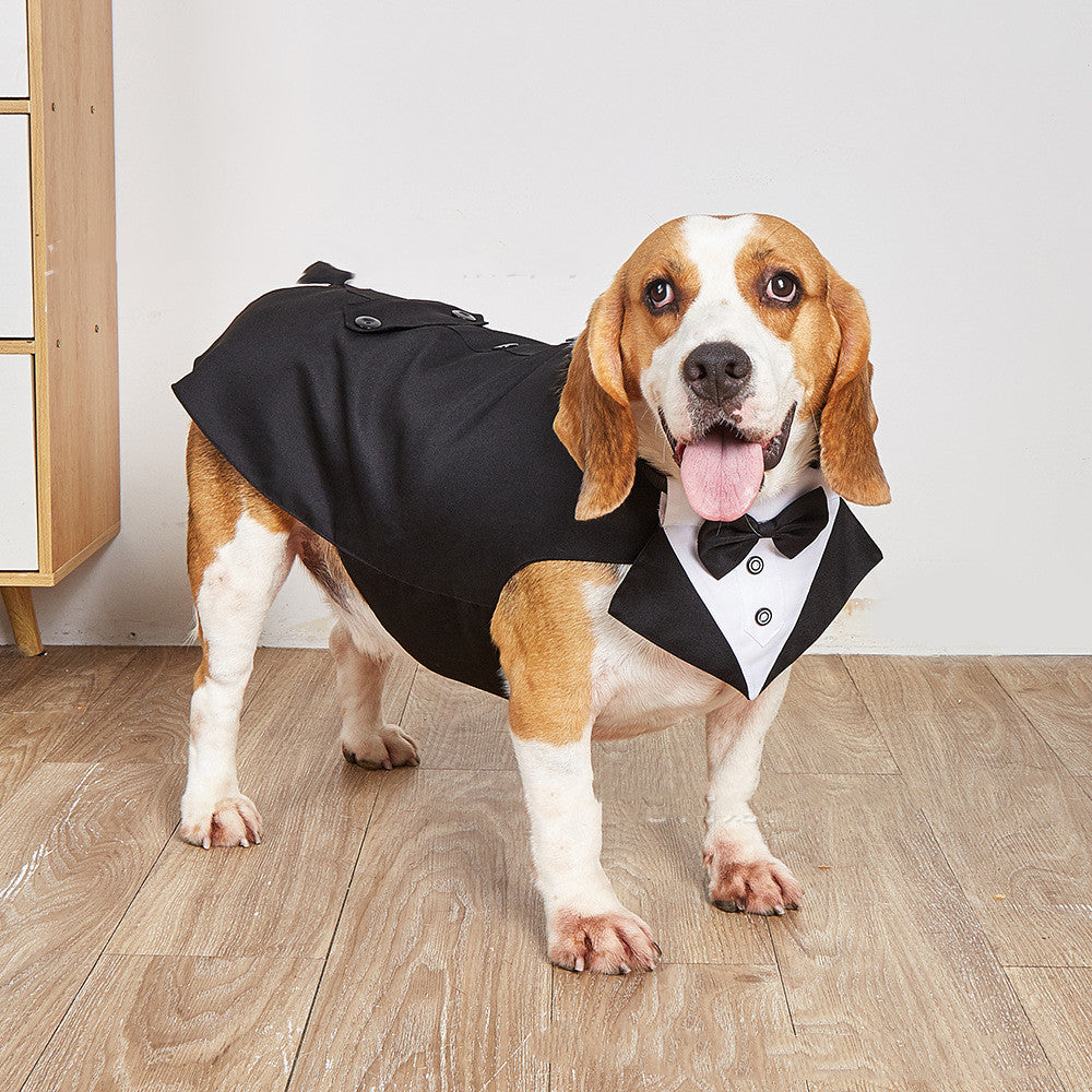 Pet Swallowtail Wedding Suit Jacket Outfit