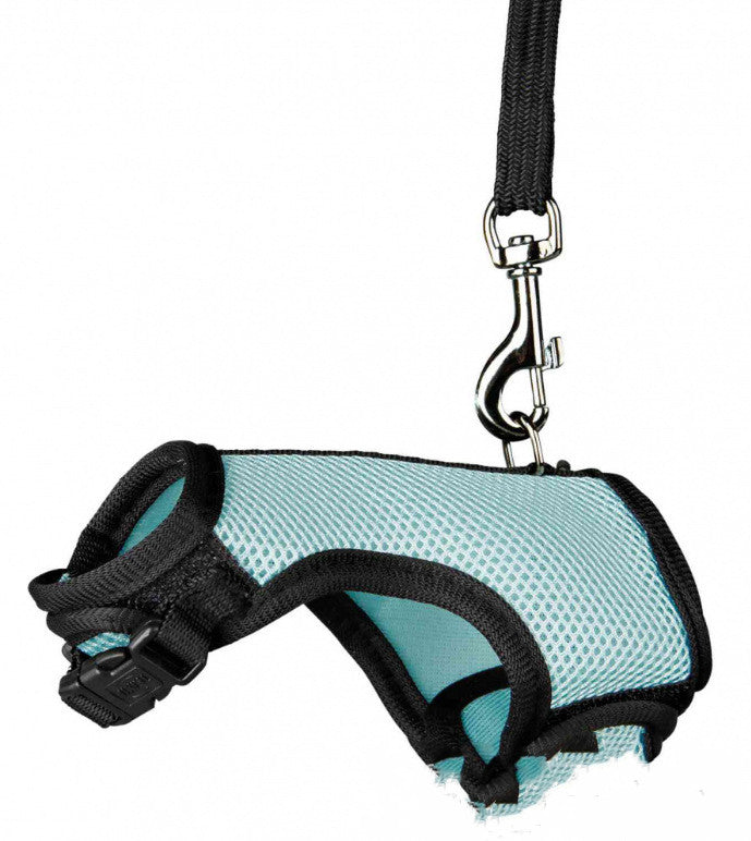 Small Pet Leash For Secure Walking Control