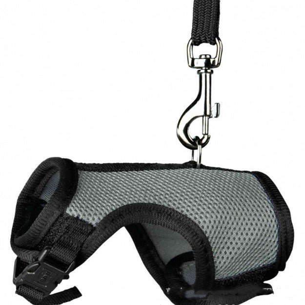 Small Pet Leash For Secure Walking Control