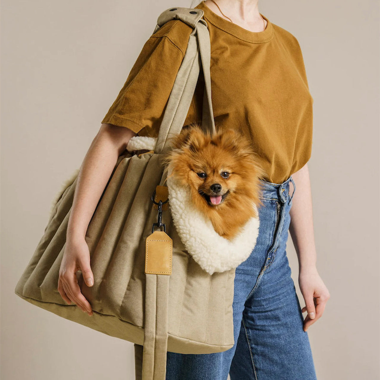 Lightweight Waterproof Pet Travel Carrier Handbag