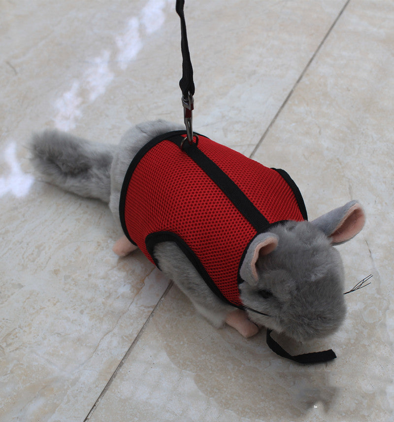 Small Pet Leash For Secure Walking Control