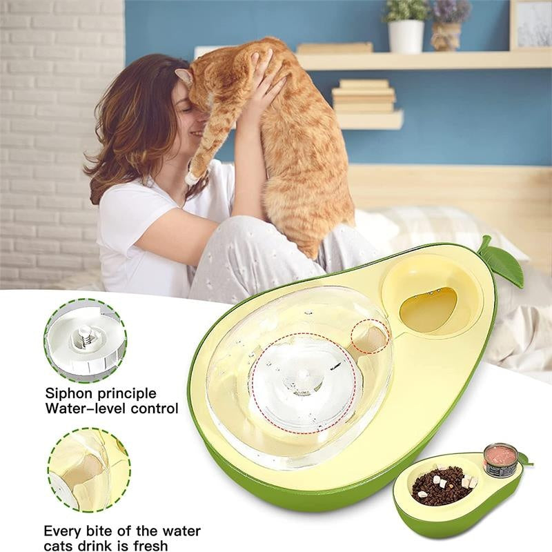 Automatic Pet Water Bottle And Slow Feeding Bowl Set