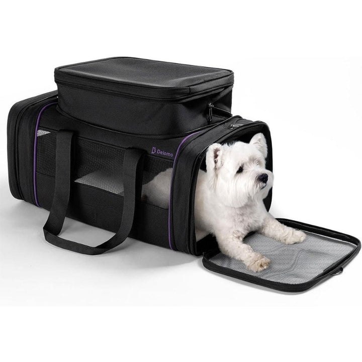 Portable Expandable Soft Pet Travel Carrier Bag