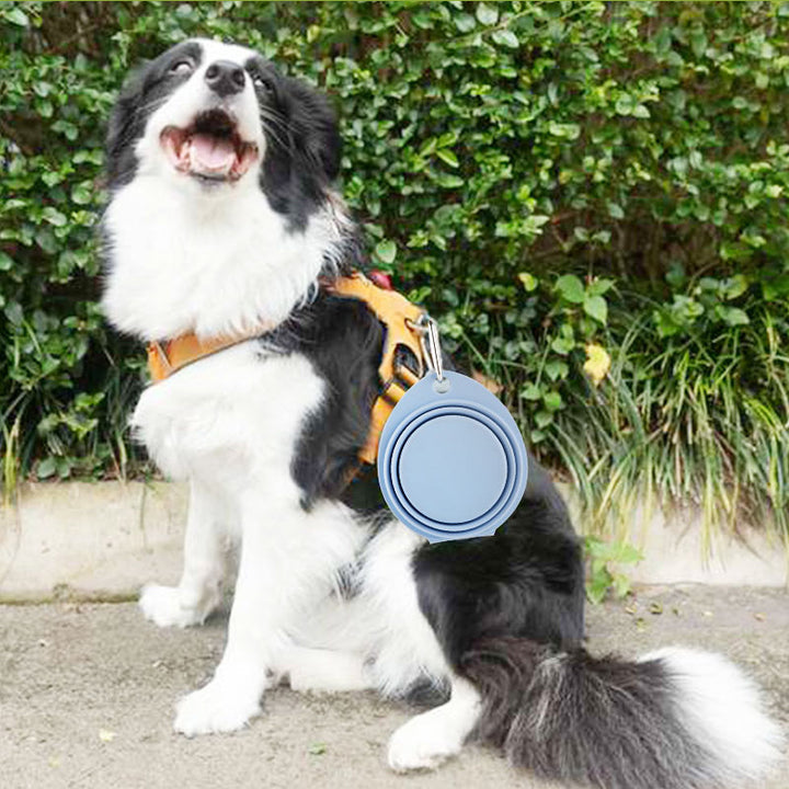 Portable Foldable Silicone Pet Feeding Bowl For Outdoor Use