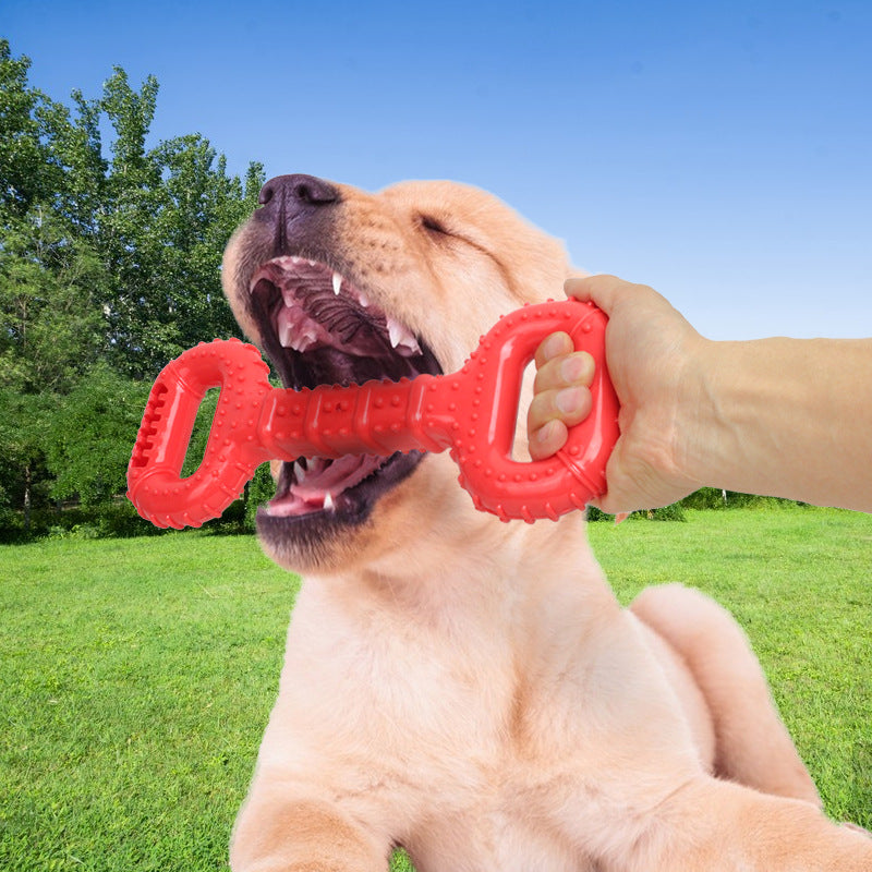Pet Bone Chew Toy Long Lasting Interactive Teething