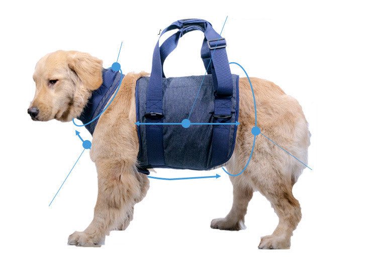 Pet Leash For Secure Walking Control