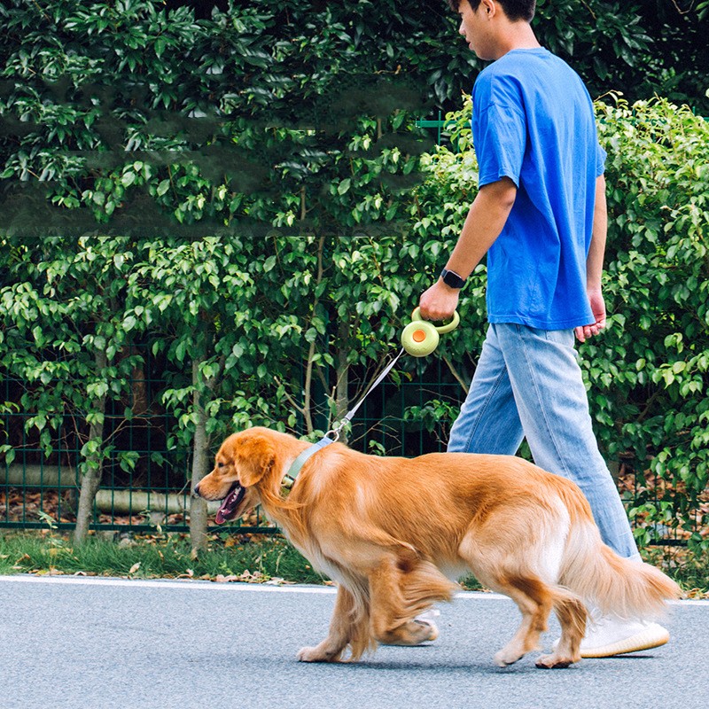 Reflective Retractable Pet Leash With Durable Rope