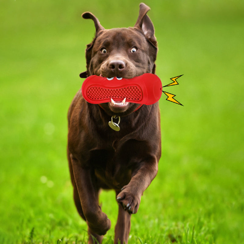 Pet Rugby Rubber Teething Chew Bite Resistant Toy