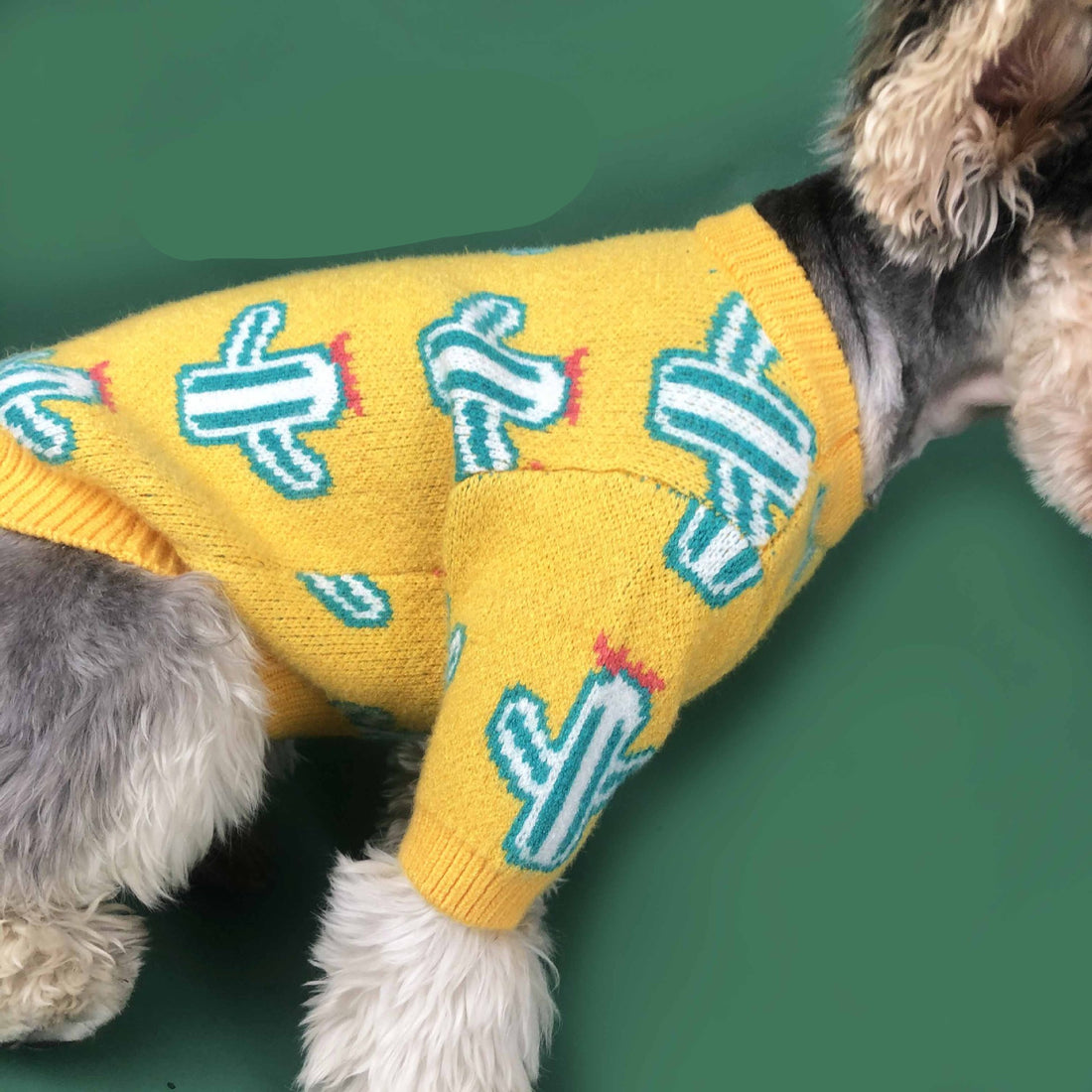 Cactus Style Knitted Sweater For Pets