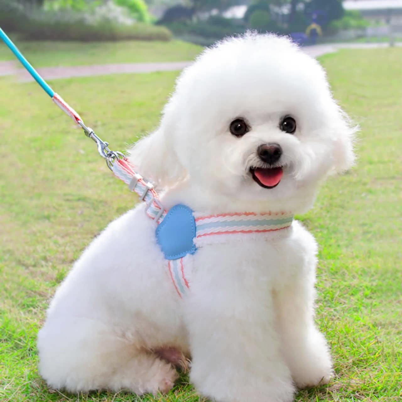 Breathable Pet Chest Vest Leash For Small And Medium Pets