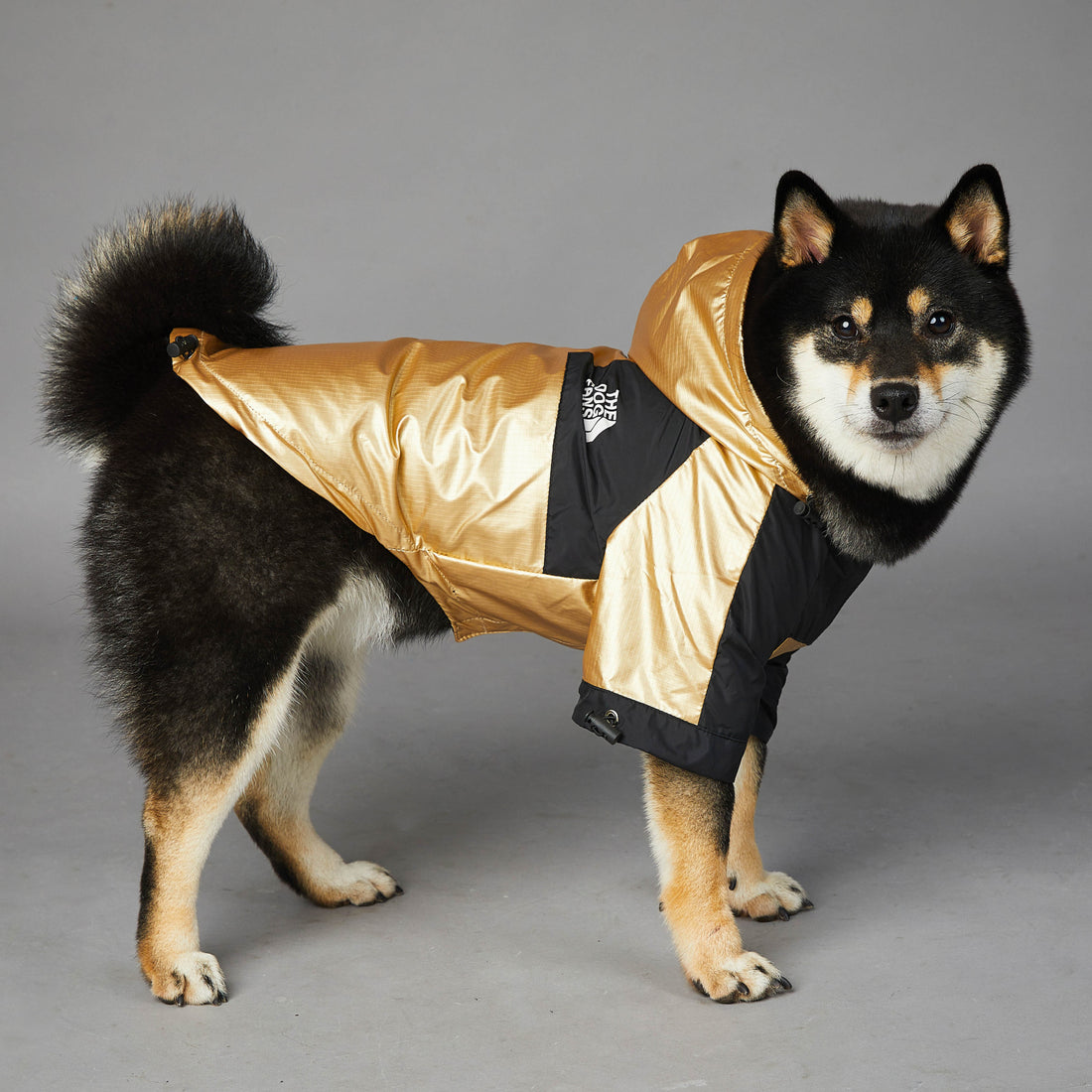 Pet Large Breed Waterproof Rain Jacket