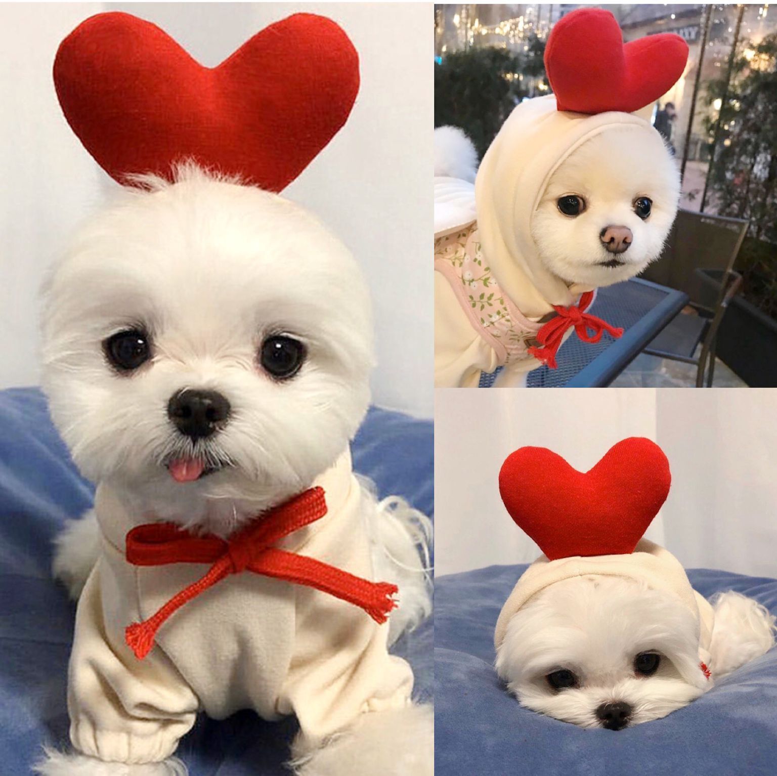 Pet Hooded Sweater Apricot Elk Warm Clothing