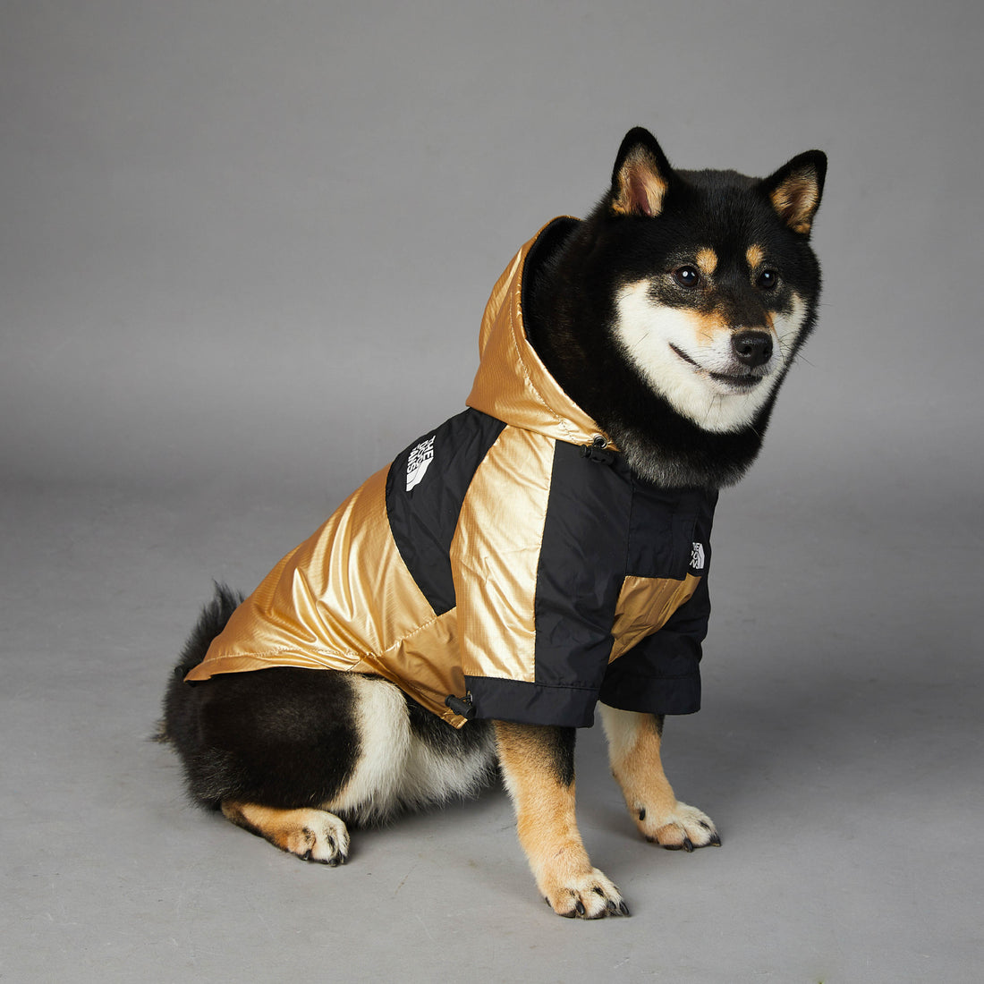 Pet Large Breed Waterproof Rain Jacket