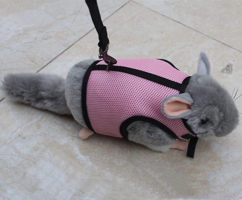 Small Pet Leash For Secure Walking Control