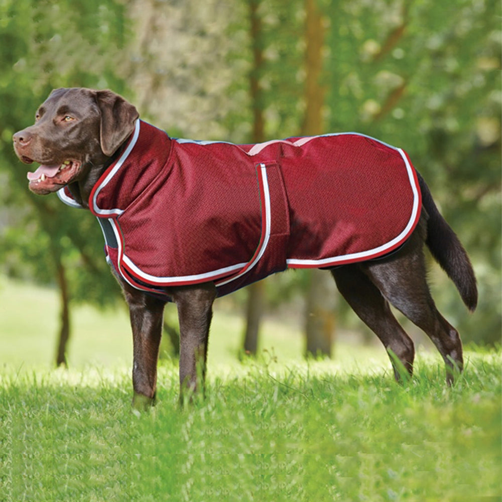 Pet Warm Leisure Waterproof Winter Jacket