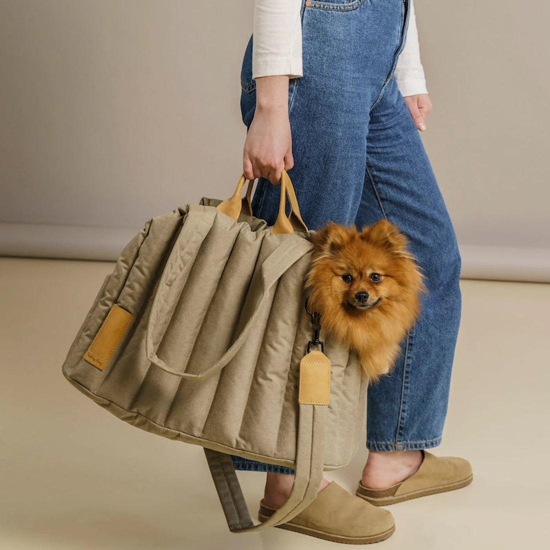 Lightweight Waterproof Pet Travel Carrier Handbag