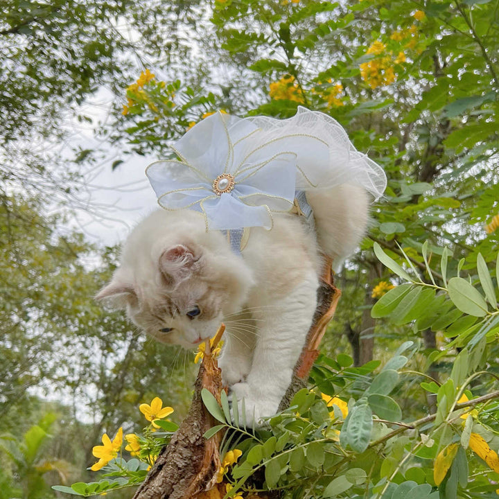 Multi Layer Yarn Pet Leash For Universal Use