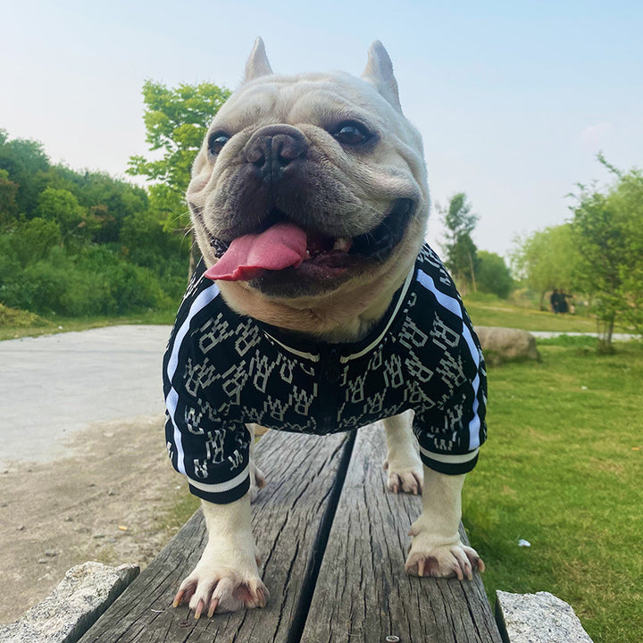 Pet Zip Up Stretchy Warm Clothing Jacket