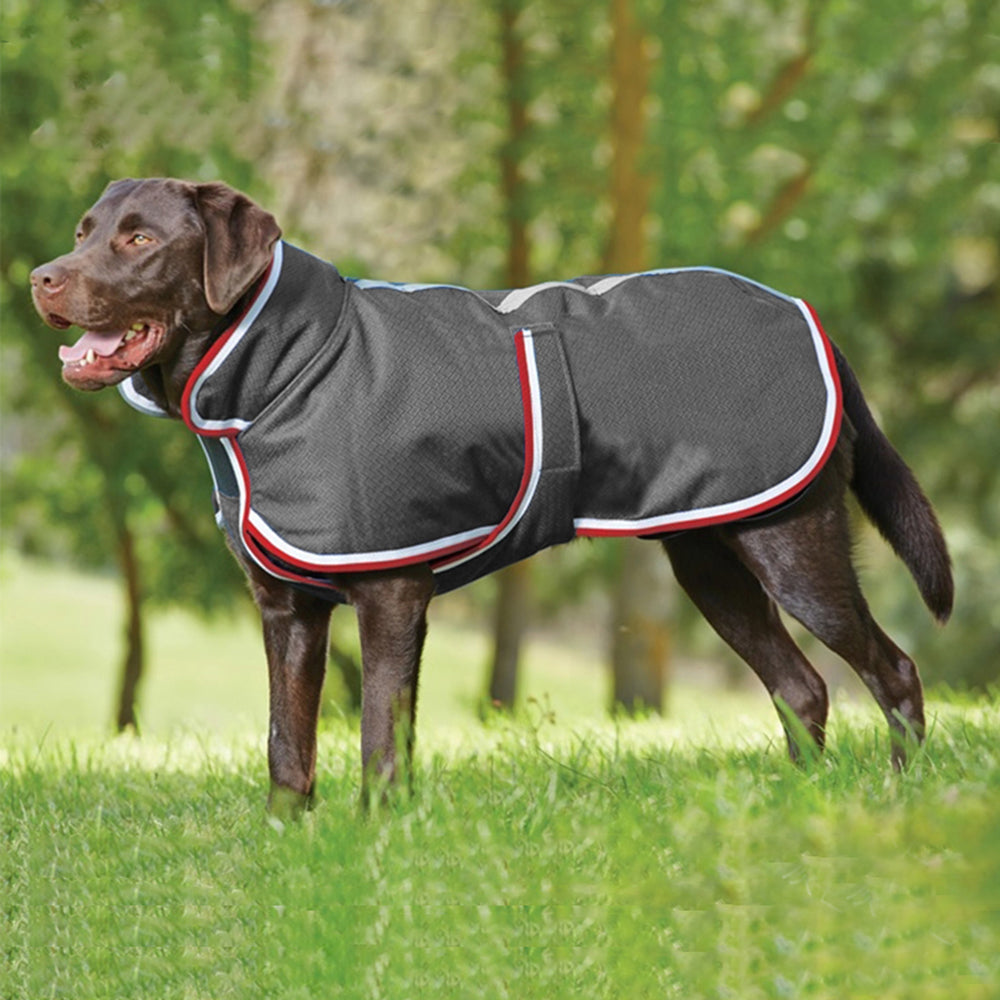 Pet Warm Leisure Waterproof Winter Jacket