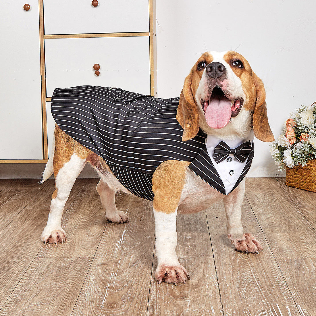 Pet Swallowtail Wedding Suit Jacket Outfit