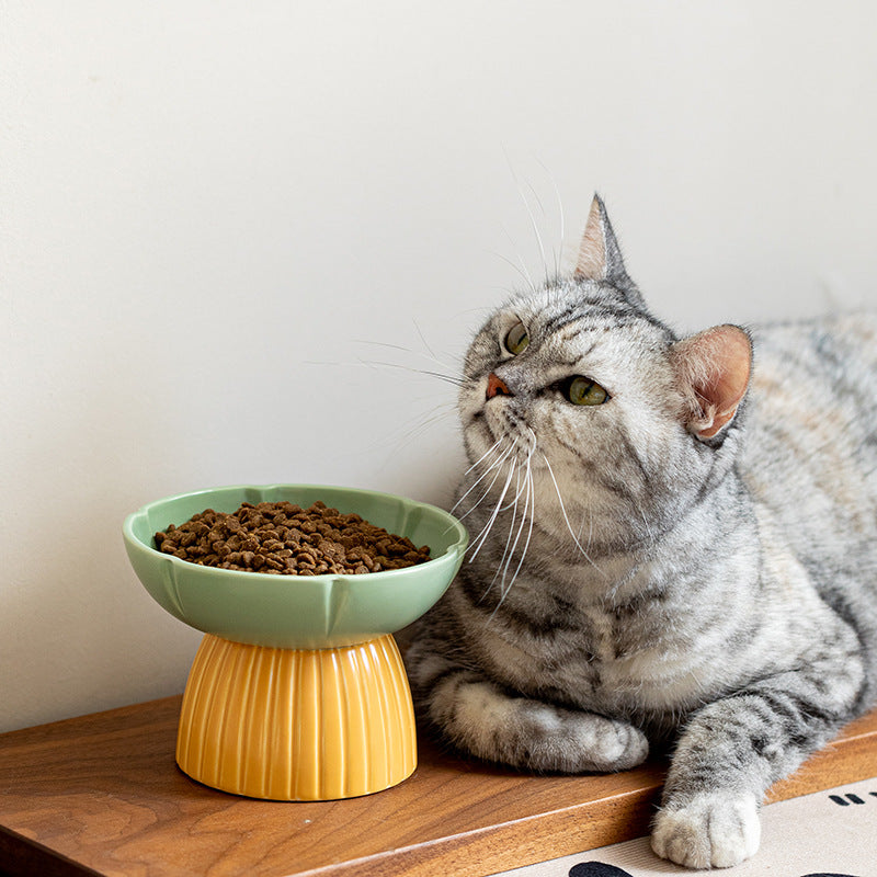 Macaron Color Ceramic Pet Feeding Bowl For Food And Water