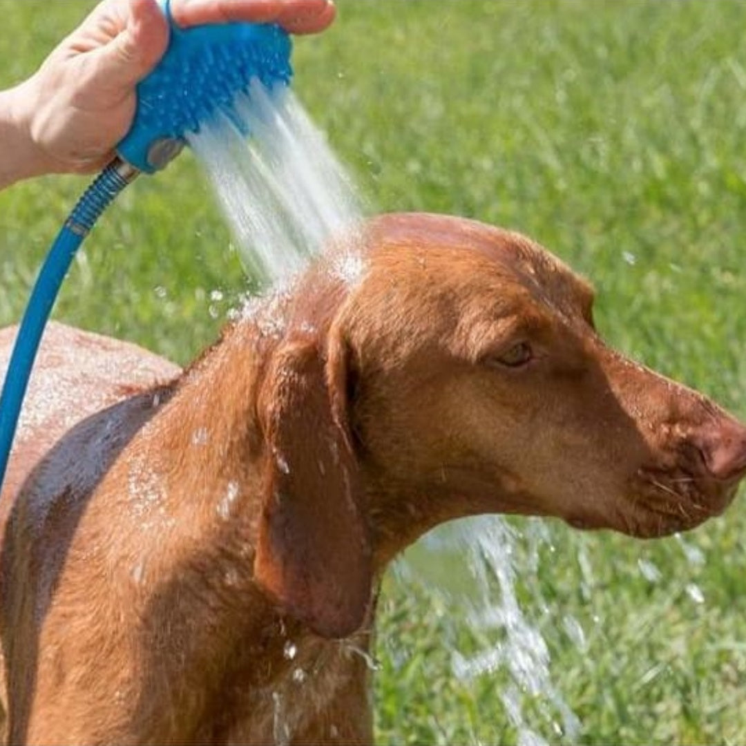 Silicone Pet Bath Gloves With Massage Shower Brush