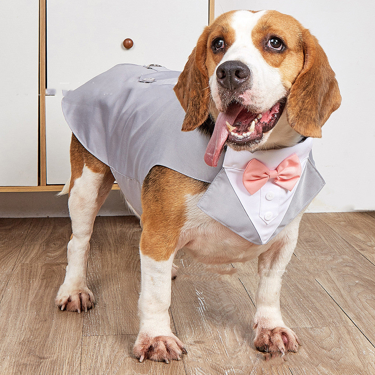 Pet Swallowtail Wedding Suit Jacket Outfit