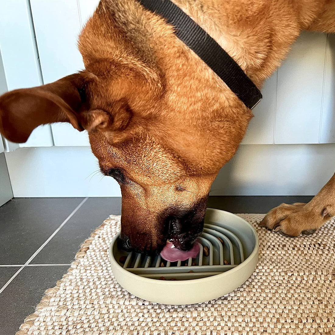 Fashion Simple Pet Slow Feeding Bowl For Small Animals