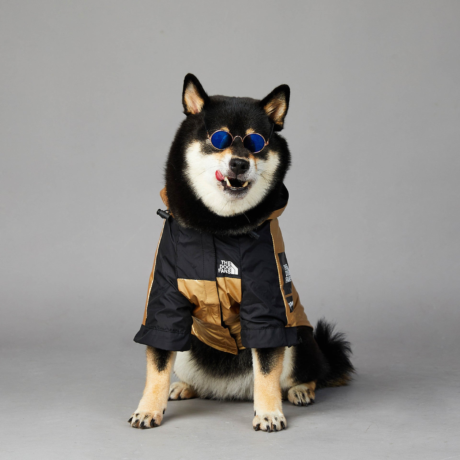 Pet Large Breed Waterproof Rain Jacket