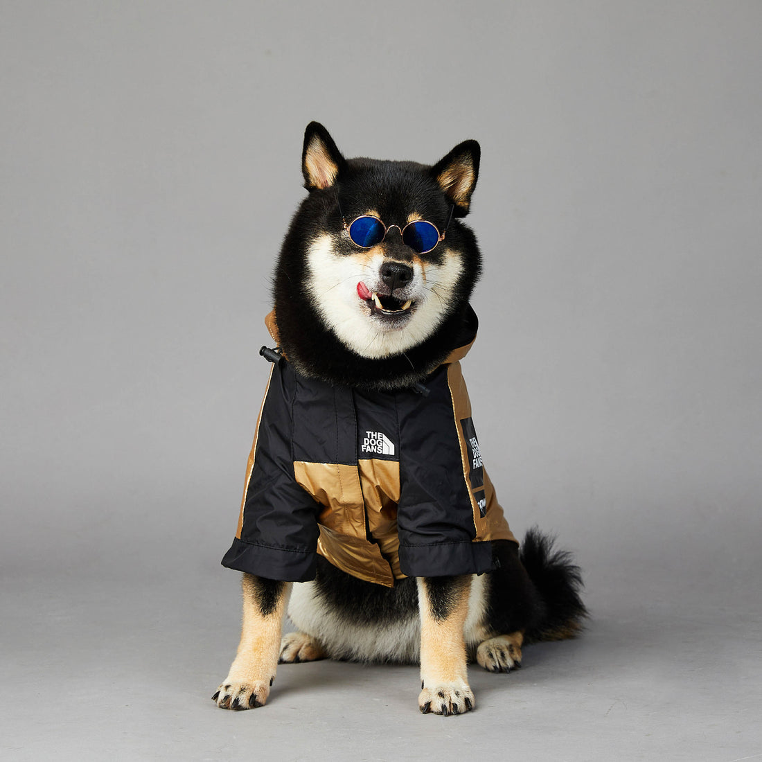 Pet Large Breed Waterproof Rain Jacket
