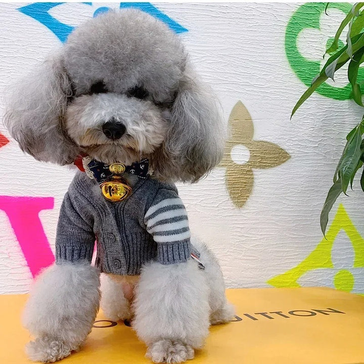 Cardigan Sweater For Pets